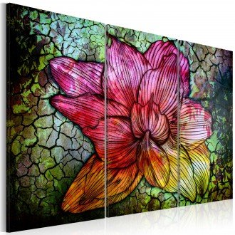Kép - A rainbow-hued abstract flower