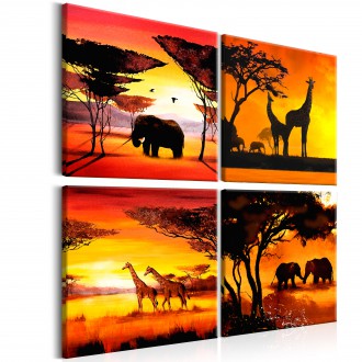 Kép - Afrika állatvilága