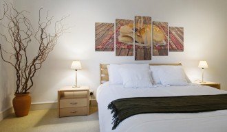 Kép - Domestication - 5 pieces