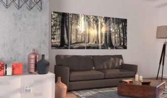 Kép - Erdei kalandok 15