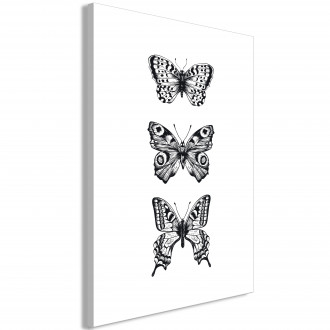 Kép - Három pillangó
