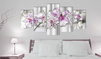 Kép - Kedvenc Orchideaám