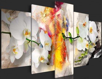Kép - Lángoló Orchidea