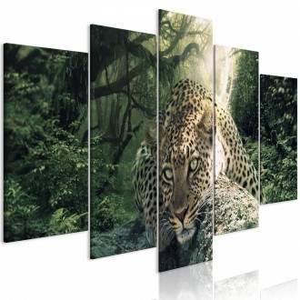 Kép - Lapuló Leopárd 3