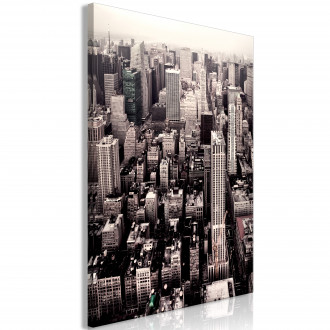 Kép - Manhattan szépia színben