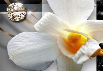 Kép - Napos orchideák