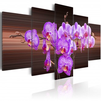 Kép - Orchidea érintés