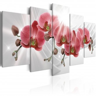 Kép - Orchidea kert 3