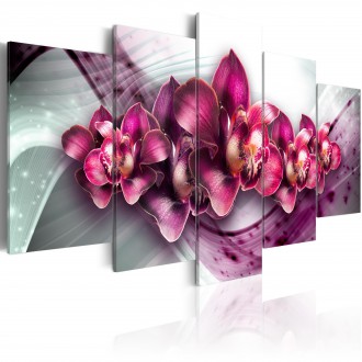 Kép - Orchideák birodalma 1