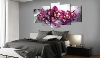 Kép - Orchideák birodalma 1