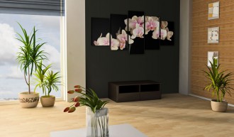 Kép - Orchideák fekete háttérrel