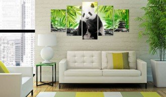 Kép - Panda