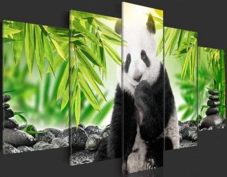 Kép - Panda