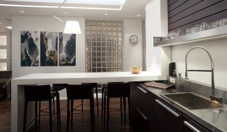 Kép - Piebald cow
