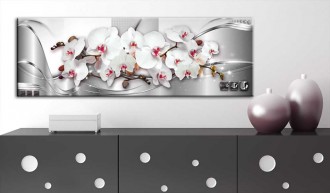 Kép - Rendezett Orchideák 1