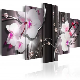 Kép - Rózsaszín Orchidea