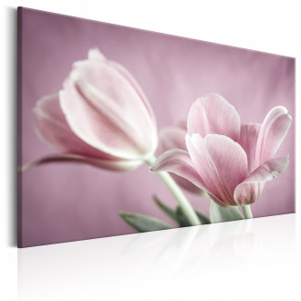 Kép - Rózsaszín tulipánok 2