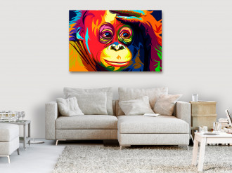 Kép - Színes orangután (széles 1 darabban)