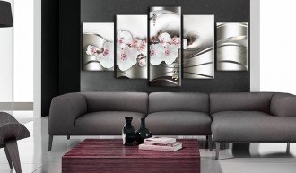 Kép - The beauty of orchids