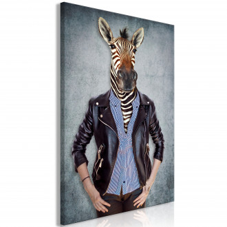 Kép - Zebra Ewa