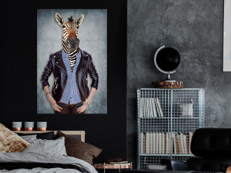 Kép - Zebra Ewa