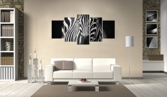 Kép - Zebra fekete fehérben 2