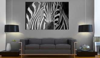 Kép - Zebra fekete fehérben