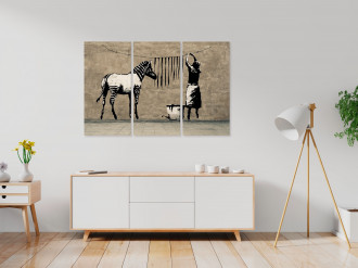 Kép - Zebra mosása a betonon II