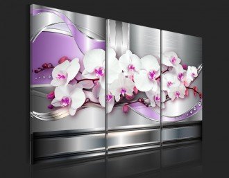 Kép - Zenélő Orchideák