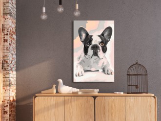 Kifestő - Francia Bulldog