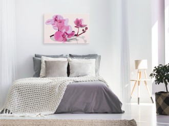 Kifestő - Orchideák