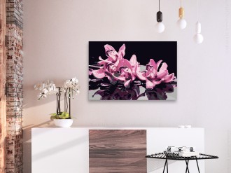 Kifestő - Rózsaszín Orchideák
