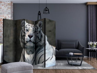 Paraván - Bengáli tigris az állatkertben II