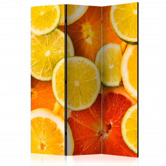 Paraván - Citrus gyümölcsök