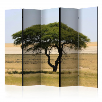 Paraván - Etosha Nemzeti Park, Namíbia II