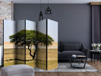 Paraván - Etosha Nemzeti Park, Namíbia II