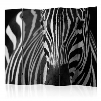 Paraván - Fekete és fehér csíkos zebra II