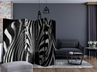 Paraván - Fekete és fehér csíkos zebra II
