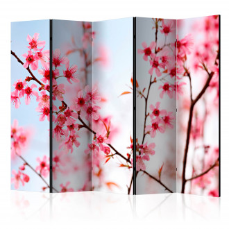 Paraván - Japán jelképe - sakura virágok II