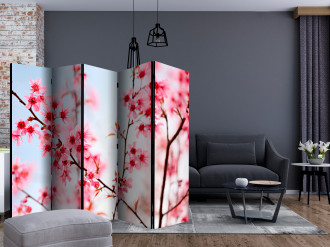 Paraván - Japán jelképe - sakura virágok II