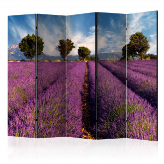 Paraván - Levendula mező Provence-ban II