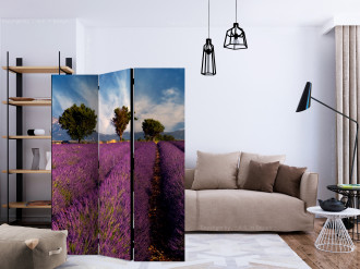Paraván - Levendula mező Provence-ban
