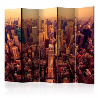 Paraván - Manhattan madártávlatból II