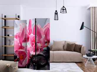 Paraván - Orchidea virágok zen kövekkel