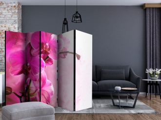Paraván - Rózsaszín orchideák II