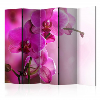Paraván - Rózsaszín orchideák IV