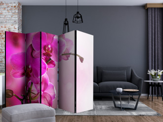 Paraván - Rózsaszín orchideák IV