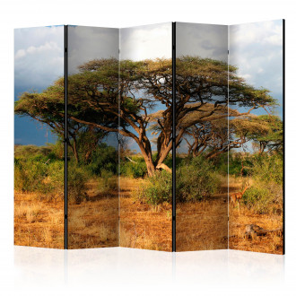 Paraván - Samburu Nemzeti Rezervátum, Kenya II