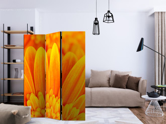 Paraván - Sárga gerbera százszorszépek