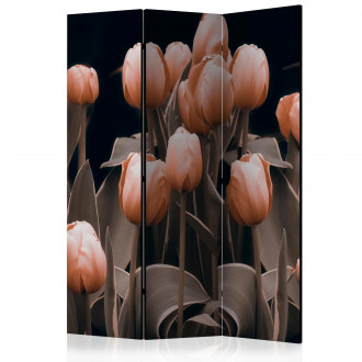 Paraván - Tulipánok fekete háttéren